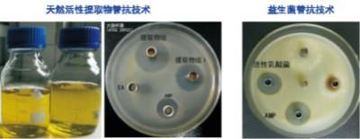 绿色安全替抗技术.jpg