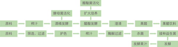 果蔬发酵制品加工技术 (1).jpg