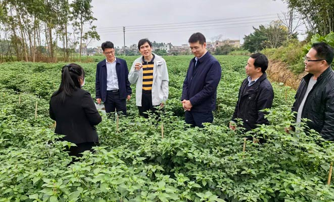 植保所赴高州、信宜开展“百千万工程”需求调研及植保科技服务660.jpg